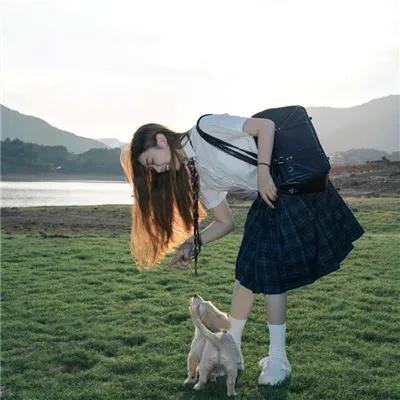 领头羊